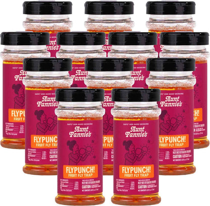 Aunt Fannie's FlyPunch Fruit Fly Trap for Indoor and Kitchen Use, Ready to Use, Made with Plant Based Ingredients, Safe Near Food, Each Bottle Lasts Up to 30 Days, Pack of 2