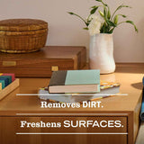 mrs. meyer's clean day multi-surface everyday cleaner, 16 fl oz, rain water scent