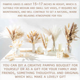 70PCS natural dried pampas grass boho home decor bouquet phragmites dried flowers bouquet