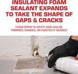 Tomcat Rodent Block Expanding Foam Barrier for Gaps and Cracks - 12 oz, Mice Repellent