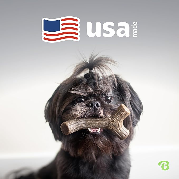 Benebone Medium 4-Pack Dog Chew Toys for Aggressive Chewers, Made in USA, 60lbs and Under