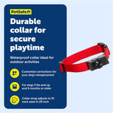 PetSafe Wireless Pet Containment System Receiver Collar - Battery-Operated & Waterproof - Adjustable Receiver Collar with 5 Correction Levels - for Dogs 5lb+