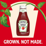 heinz-tomato-ketchup-38oz-bottle-gluten-free-sweet-juicy-ripe-tomatoes