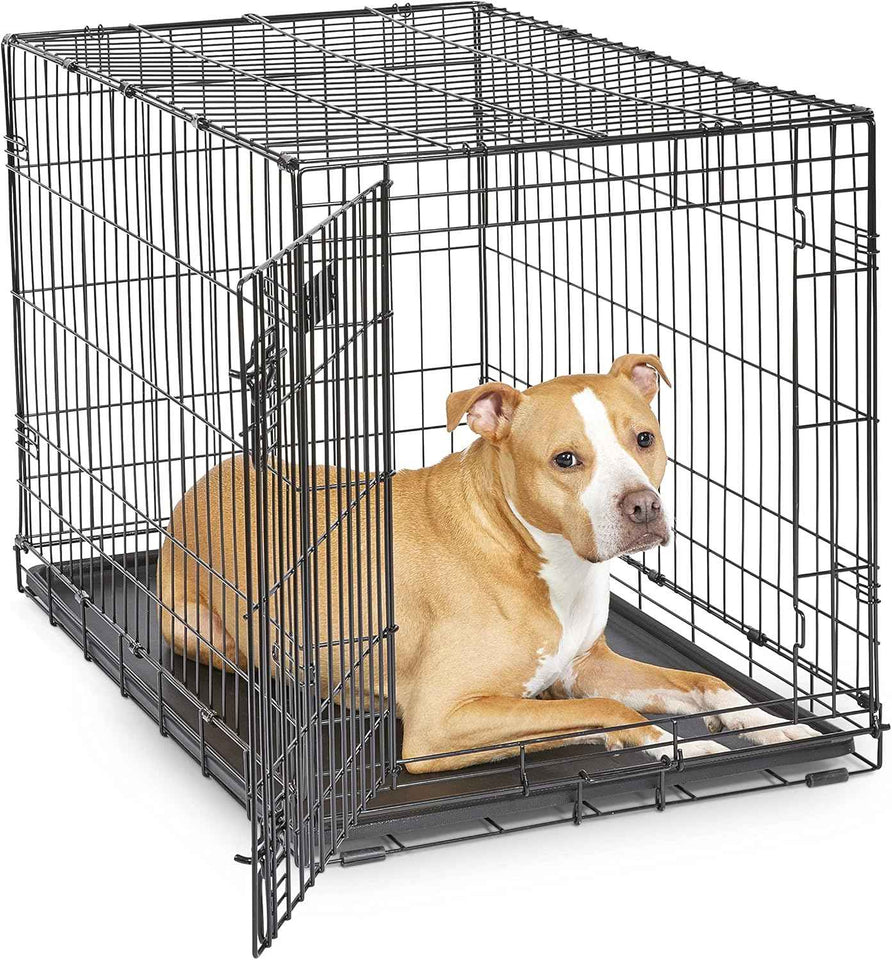 MidWest iCrate 36-inch metal wire dog crate with divider, leak-proof tray, and secure latches for medium large breeds