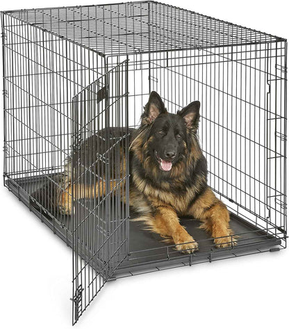 MidWest Homes for Pets 36-Inch iCrate Folding Dog Crate with Divider Panel, Leak-Proof Tray & Secure Latches – Metal Wire Kennel for Medium Large Breeds – Portable, Durable & Easy to Assemble