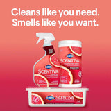 Clorox Scentiva Disinfecting Wipes, Grapefruit and Orange Blossom, 75 Ct., Pack of 3 (Pack May vary)